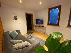 a living room with a couch and a flat screen tv at Racoon Lounge in Bad Liebenstein