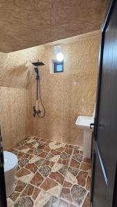 a bathroom with a shower and a toilet and a sink at Dsegh Eco Home in Dsegh +23 photos