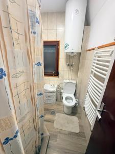 a small bathroom with a toilet and a window at Zlatibor week house in Palisat +13 photos