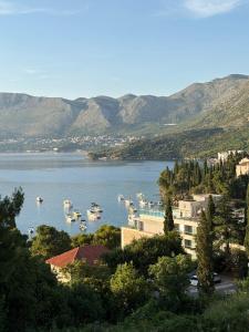 a view of a body of water with boats in it at Luxury Apartment The Best in Cavtat