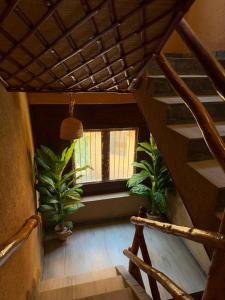a staircase with plants in a room with a window at Aldar Inn - نزل الدار in Nizwa