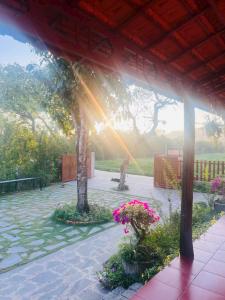 a person in a garden with the sun shining through a tree at Tổ Homestay in Tân Phú