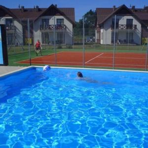 a dog swimming in a pool on a tennis court at Apartament Jaśkowy in Żarnowska