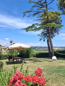 an umbrella and bench in a yard with flowers at Casa Vacanze Il Viaggiatore in San Benedetto del Tronto +14 photos