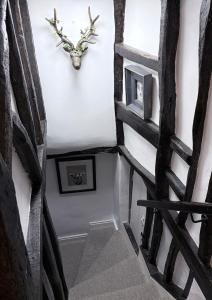 a view of a stairway with a plant on the wall at Brewhouse Cottage 18th Century Cottage -Three Peaks Settle in Settle