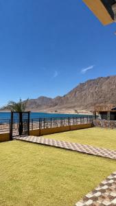 a view of the beach and the ocean at Nuweiba house camp in Nuweiba +15 photos