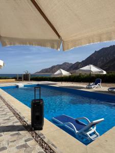 a suitcase and a chair next to a swimming pool at Nuweiba house camp in Nuweiba