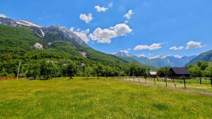 a field of grass with mountains in the background at Kulla e Sadri Lukes in Theth