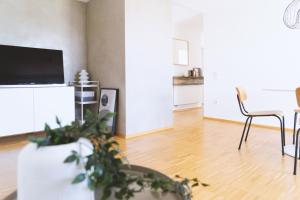 a living room with a tv and a table with a plant at Apartment 39 in Giengen an der Brenz