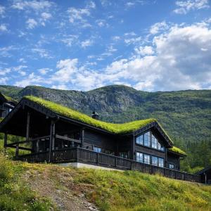 a house with a grass roof on a hill at Voss Resort self-catered apartments in Skulestadmo