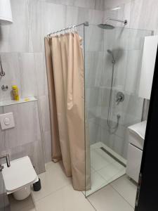a shower with a glass door in a bathroom at Motel Victoria in Zvornik
