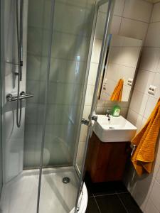 a bathroom with a shower and a sink at Bedify Lodge Sokndal in Sokndal