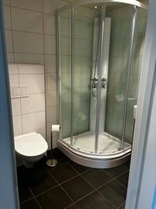 a bathroom with a shower and a toilet at Bedify Lodge Sokndal in Sokndal +3 photos