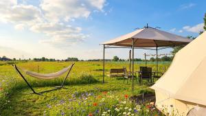 two hammocks and an umbrella in a field of flowers at Bell-tent Luna met uitzicht in Hensbroek