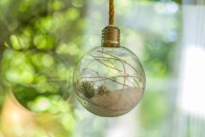 a glass ball with a plant inside of it at Ferienwohnung Halde Hoheward in Recklinghausen