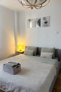 a bedroom with a bed with a box on it at ZAZA Apartament - central area, with balcony in Târgu Jiu