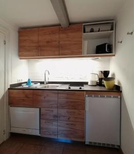 a kitchen with wooden cabinets and a sink at Urlaub mit Hund - aktuell noch freie Kapazitäten im Sommer! in Riepsdorf
