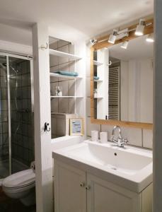 a bathroom with a sink and a toilet and a mirror at Urlaub mit Hund - aktuell noch freie Kapazitäten im Sommer! in Riepsdorf