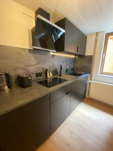 a kitchen with a sink and a microwave at Racoon Lounge in Bad Liebenstein