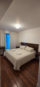 a bedroom with a large bed and a window at Millennium Mendoza pleno Centro 2 dormitorios, cocina completa, pileta y terraza in Mendoza