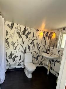 a bathroom with a toilet and a sink at Brissundsbyn in Visby +33 photos