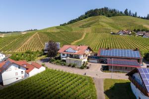 an aerial view of a house with solar panels on a hill at Hofquartier in Kappelrodeck +33 photos
