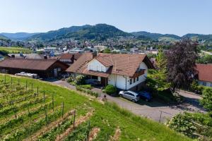 an aerial view of a vineyard and a house at Hofquartier in Kappelrodeck