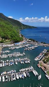 an aerial view of a marina with boats in the water at AZURÉA Marina ! in Gourbeyre