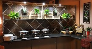 a kitchen with potted plants on the wall at Golf View Lodge Melmoth in Melmoth +10 photos