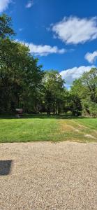 a field with trees and a bench in a park at havre de paix a la Sologne in Veilleins
