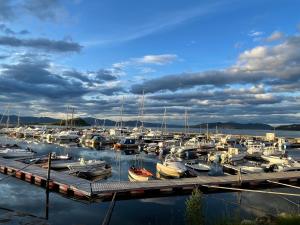 a bunch of boats docked in a harbor at Beautiful panoramic apartment in Vestnes