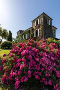 a large bush of pink flowers in front of a building at La tour du manoir in Arouille