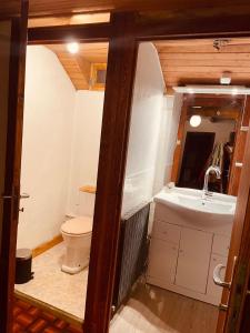 a bathroom with a sink and a toilet at Dharma Farm Retreat in Mijoux +65 photos