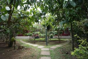 a path through a garden with a tree in the middle at Misty Slope in Ambalavayal