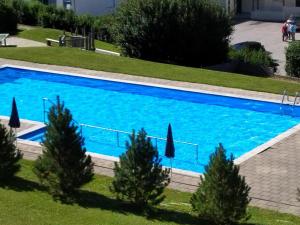 a large blue swimming pool with trees and umbrellas at Tgesa Tgampi T20 in Savognin