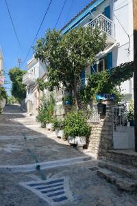 a house with trees on the side of a street at LITO STUDIOS APARTMENTS in Pythagoreio