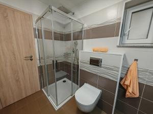 a bathroom with a toilet and a glass shower at Apartman Leo in Mariánské Lázně +5 photos