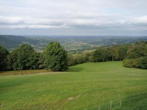 a field of green grass with trees in the distance at La Maison d'Osquich in Musculdy