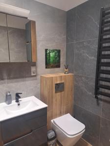 a bathroom with a sink and a toilet at Lunar Apartament in Augustów