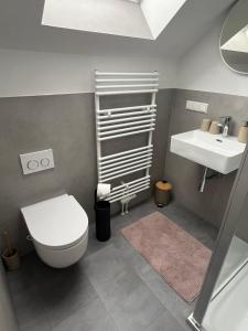 a bathroom with a toilet and a sink at Pension-Rappteller in Apfelstädt