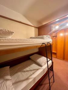 a bedroom with two bunk beds and a ladder at Monolocale Des Alpes 204 in Madonna di Campiglio