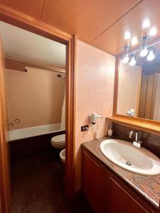 a bathroom with a sink and a toilet and a mirror at Monolocale Des Alpes 204 in Madonna di Campiglio +10 photos