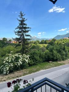 a view of a road with a tree and flowers at Casa Ciccone-L'Aquila in Tornimparte