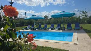 a swimming pool with blue chairs and umbrellas at Casa cu Trandafiri Murighiol in Murighiol