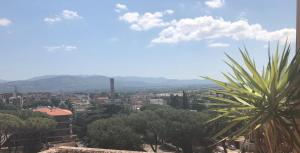 a view of a city with a palm tree at Casavacanze da Mari in Tivoli Terme