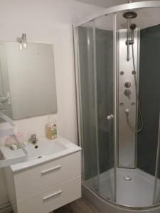 a bathroom with a shower and a sink at Appartement entier in Montmarault