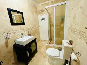a bathroom with a white toilet and a sink at Pleasance Flat nr 8A Worcester Street in Grahamstown +9 photos