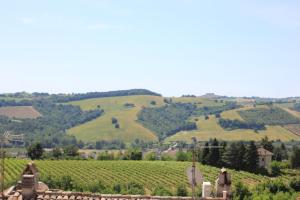 a view of a vineyard with hills in the background at B&B del Borgo in Ortezzano