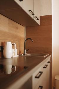 a kitchen with a sink and a counter top at ALPEN STUDIO - moderne Ferienwohnung mit Bergblick & Südterrasse in Bad Hindelang in Bad Hindelang +36 photos