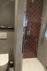 a bathroom with a shower with a toilet at Mas des Treilles - Chambre d'hôtes - Côté Campagne in Mane